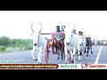 பெரியமாடு மாபெரும் மாட்டு வண்டி பந்தயம் காரைக்குடி 19 08 2018