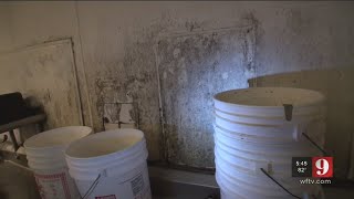 Video: Action 9 goes inside restaurants that keep flunking state inspections