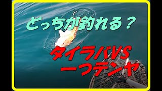 タイラバ　VS　一つテンヤ 　勝つのはどっち？