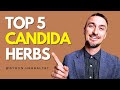 Top 5 Herbs to Treat Candida