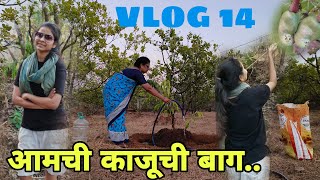 माझ कोकणातल छोटंस गाव ताम्हाणे । काजूची बाग । मराठी VLOG - १४