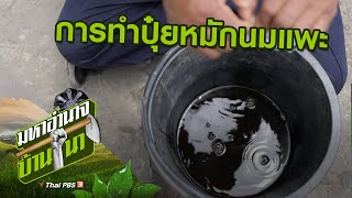 การทำปุ๋ยหมักนมแพะ : สูตรลับฉบับบ้านนา