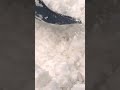 Digging Out Slow Mo - Shoveling 12 inches to shovel -WOW -  Whiteout Conditions  -Winter Storm