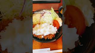 長野県駒ヶ根市 とんかつ ソースかつ丼「きらく」 #shorts