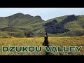 Dzukou Valley: A Paradise for Nature Lovers | Nagaland | Northeast India | English Subtitle