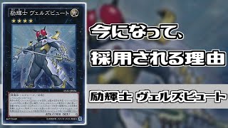 【遊戯王】「励輝士 ヴェルズビュート」が今になって使われる理由【解説】