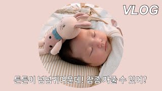 vlog 육아브이로그 / 신생아 졸업한 4주차 아기 / 현실육아하느라 분량 확보 실패 / 왜 안자는건데....😩