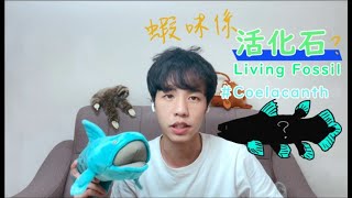 小朋友也能懂的活化石-Coelacanth 腔棘魚