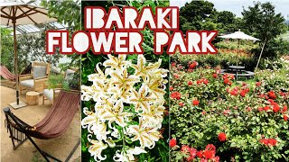 JAPAN'S NICEST ROSE GARDEN IBARAKI FLOWER PARK Lilies Hydrangea Dahlia