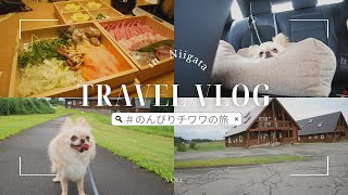 【Vlog】わんちゃんと旅行！愛犬と泊まれる宿に行ってきました