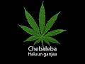 chebaleba haluun ganjaa