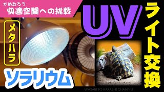 【メタハラ】UVライトを交換してみた【ソラリウム】