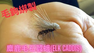 釣魚生活家 毛鉤綁製系列-麋鹿毛石蠶蛾成蟲毛鉤(Elk Caddis Fly Tying)