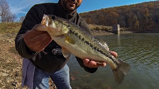 FINESSE BASS FISHING THE SHORELINE WITH A NED RIG!!!