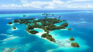 Island Hopping in Palau Part 2  | New Conor