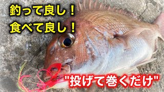 堤防から簡単な仕掛けで真鯛が釣れる【投げて巻くだけ】