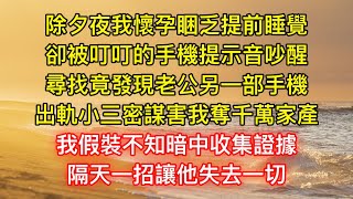 除夕夜我懷孕睏乏提前睡覺，卻被叮叮的手機提示音吵醒，尋找竟發現老公另一部手機，出軌小三密謀害我奪千萬家產，我假裝不知暗中收集證據，隔天一招讓他失去一切