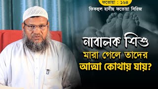 নাবালক শিশু মারা গেলে তাদের আত্মা কোথায় যায়? আব্দুর রাযযাক বিন  ইউসুফ II  Al-Itisam TV