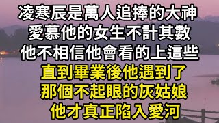 #灰姑娘（二）凌寒辰是萬人追捧的大神，愛慕他的女生不計其數，他不相信他會看的上這些，直到畢業後他遇到了，那個不起眼的灰姑娘，他才真正陷入愛河