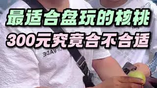 最适合盘玩的核桃，300米合不合适潘家园核桃王 文玩核桃青皮 潘家园核桃王开青皮 万物皆可盘 文玩核桃