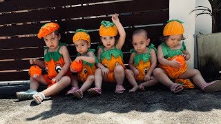 Wieloraczki idą na plażę w Halloween - październik 2024 // quintuplets on the beach