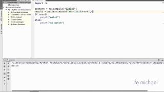 The Regular Expression match Function in Python