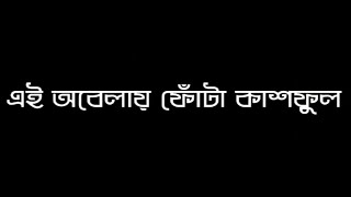 এই অবেলায় ফোঁটা কাশফুল