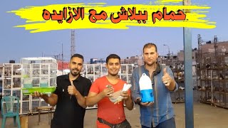 حرق اسعار الحمام في سوق الزرقا للطيور حمام ببلاش مع ابو يوسف