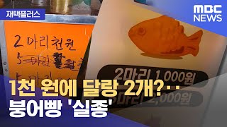 [재택플러스] 1천 원에 달랑 2개?‥붕어빵 '실종' (2021.11.29/뉴스투데이/MBC)