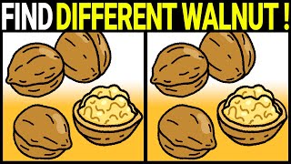 🧠💪🏻 Spot the Difference Game | These Walnuts Have Differences! 《Medium》