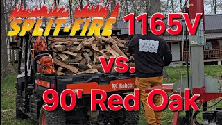 Split, Stack, Repeat. Getting started splitting the 90' Oak tree.