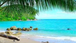 🌴 Tropical Beach Ambience on a Island in Thailand with Ocean Sounds For Relaxati