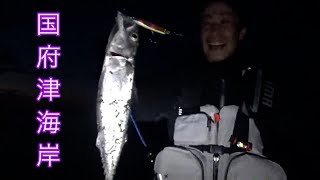 【国府津海岸】で釣り！！