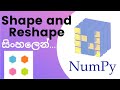 Python Numpy Tutorial - 08 | Shape and Reshape | Sinhala