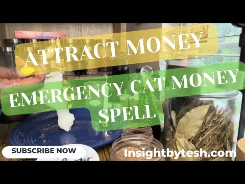 EMERGENCY CASH CAT MONEY SPELL  FAST CASH  EMERGENCY  MONEY SPELL