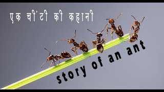 एक चींटी की कहानी | Story of An Ant | Inspiring Story