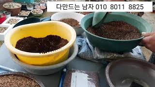 바위솔 흙배합하는 방법#바위솔 식재시 부자재판매