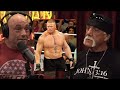 Joe Rogan & Hulk Hogan talk about Brock Lesnar #jre