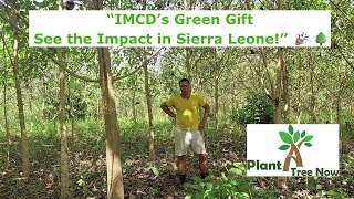 Word een Forest Hero – Een kerstgroet vanuit de bossen van Sierra Leone!