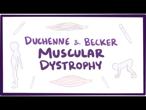 What system is affected by muscular dystrophy?