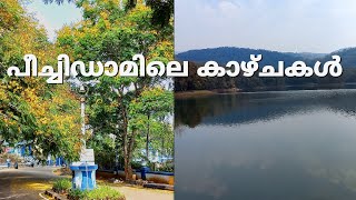 peechidam thrissur | peechi vazhani wildlife sanctuary| thrissur