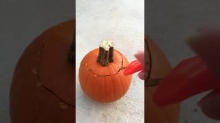 Carving a mini pumpkin 🎃 #halloween