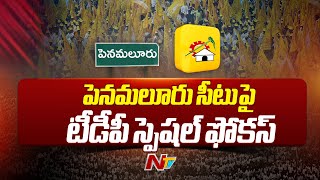 పెనమలూరుపై టీడీపీ హైకమాండ్ స్పెషల్ ఫోకస్ | AP ఎన్నికలు 2024 | Ntv