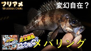 超ひもQでライトソルトゲーム！　メバルが釣れる！　ひもQグランプリ開催！　ツリアメ