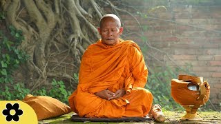 Tibetan Meditation Music, Meditation, Healing, Sleep, Chakra, Yoga, Spa, Study, Zen, Relax, ✿3186C
