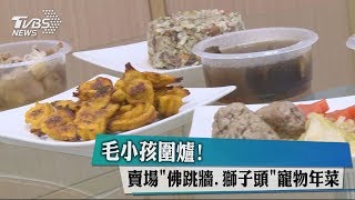 毛小孩圍爐！　賣場「佛跳牆、獅子頭」寵物年菜