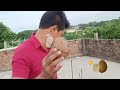 Coconut vs Sutli || नारियल और सुतली बम || Helping Dunia || Coconit and sutli Bomb Experiment