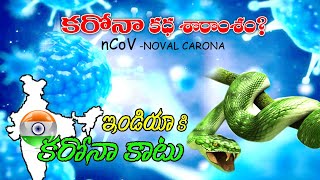 Truth about CARONA || భారత్ ని కాటేసిన కరోన || why ? || ఎందుకు ఎక్కువవుతోంది?