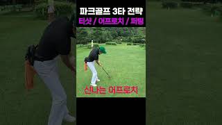 파크골프 티샷 실수 해도 퍼팅으로 3타전략 성공