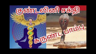 மூலாதார சக்தியிலிருந்து குண்டலினியை எழுப்ப சுவாச பயிற்சி பிரணாயாமம்.